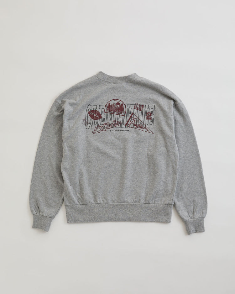 THE SHINZONE  CLEMENTINE SWEATSHIRT 06 GRAY
