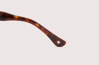 NOCHINO OPTICAL / NOCHINO #3. RICH AMBER × GREY GREEN TO D.GREY (調光モデル)