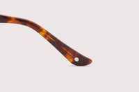 NOCHINO OPTICAL / YUGEN #5. CITRON & AMBER &CHAMPAGNE GOLD × L.SMOKE GREEN